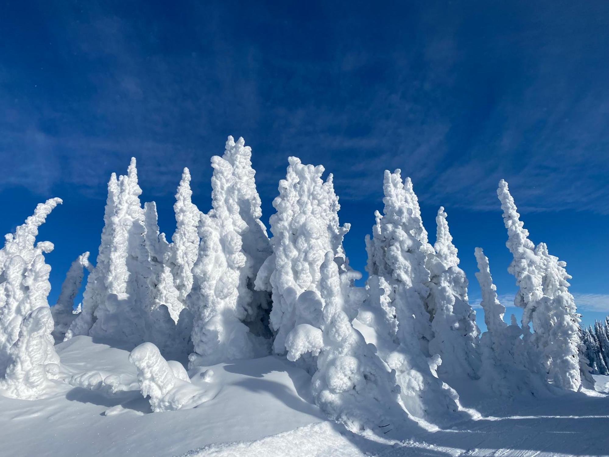 Morrisey Chalet At Sun Peaks Exterior foto