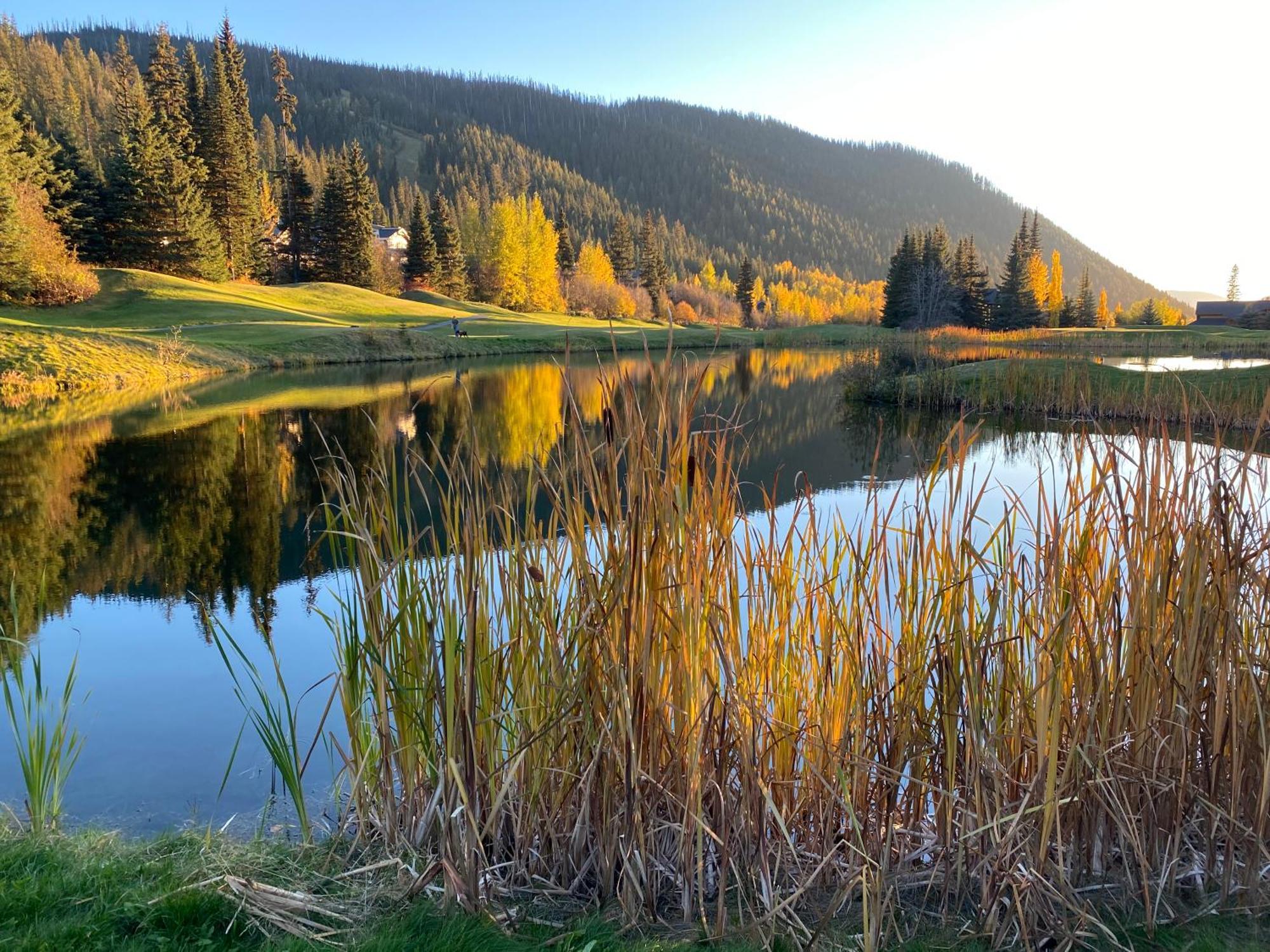 Morrisey Chalet At Sun Peaks Exterior foto